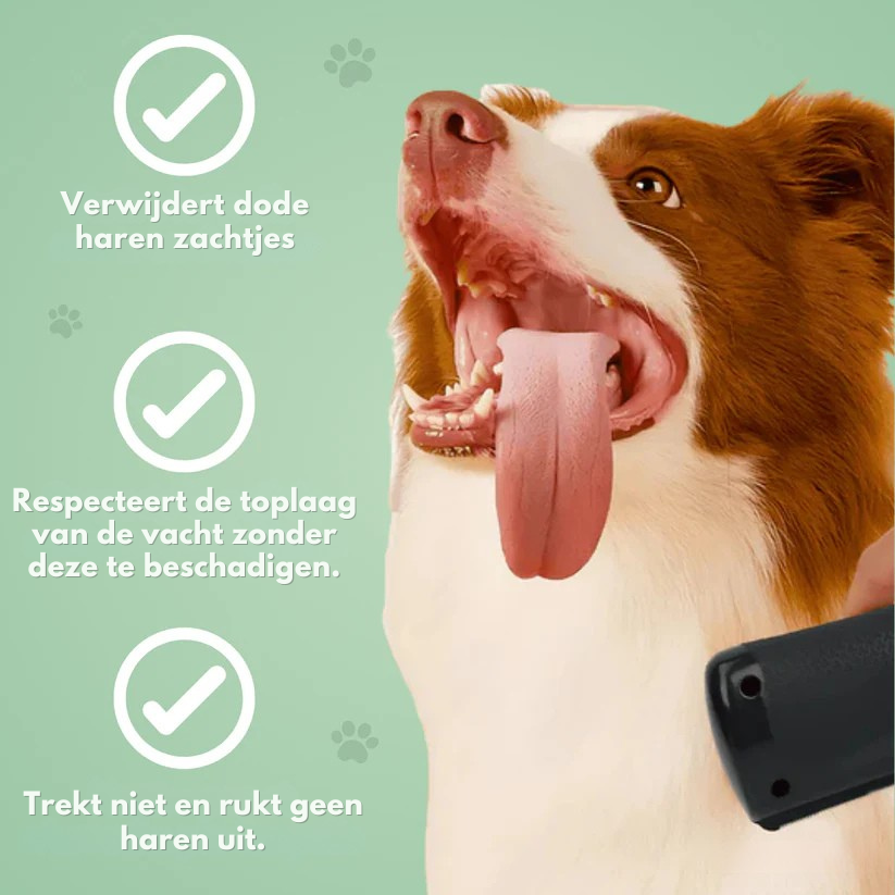 Hondurra™ | Hondenverzorgingsborstel